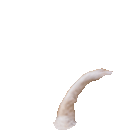 Don’t let your dog be a victim of potentially deadly heartworm disease.