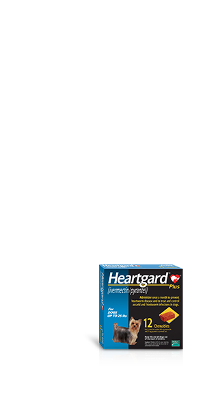 Heartgard Plus (ivermectin/pyrantel)