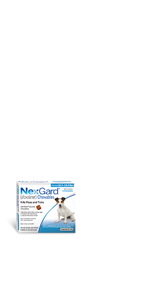 NexGard® (afoxolaner)