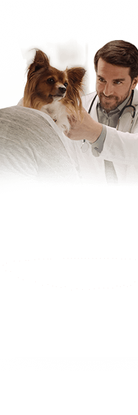 NexGard® (afoxolaner)