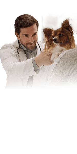 NexGard® (afoxolaner)